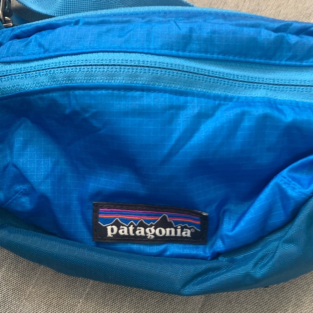 Patagonia mini Fanny pack sold out online
